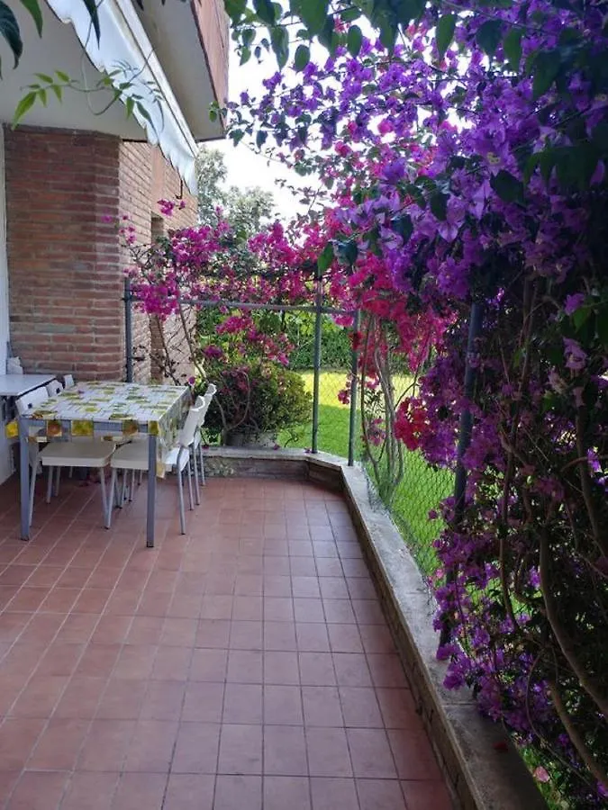 Apartaments Playas Fenals-Costa Brava Vacances Lloret de Mar Apartment